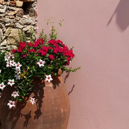 Le Moresche Taura & Mina *